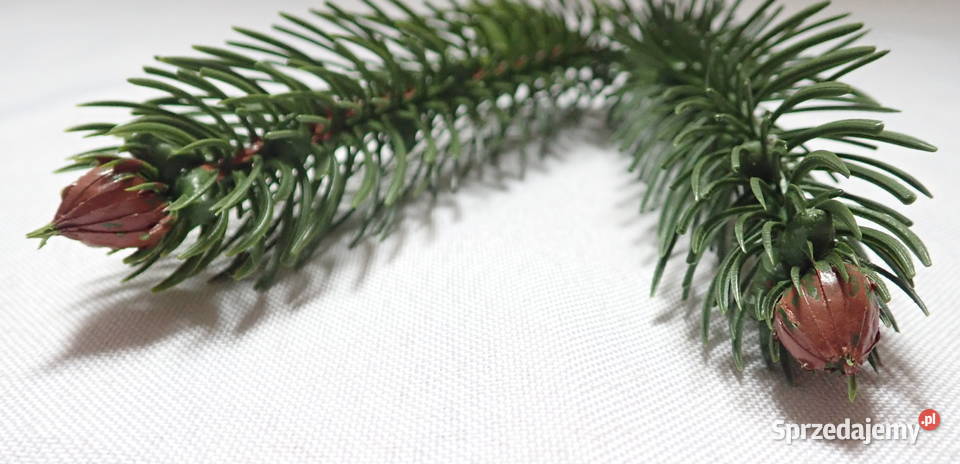 Gałązka świerkowa 3 sztuczna choinka z szyszką śląskie Siewierz