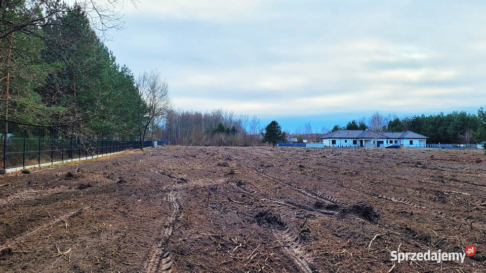 Sprzedam 1000 m2 Piskórka gm Prażmów BUDOWLANA sprzedam