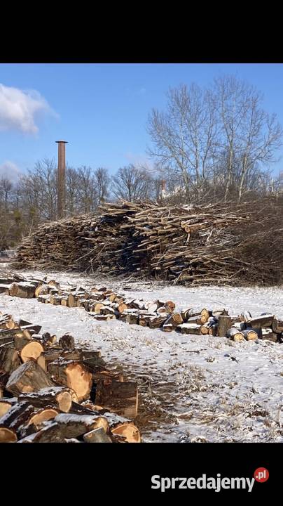 Biomasa energetyczna 4000 pln z 1 mp3 dolnośląskie Wołów