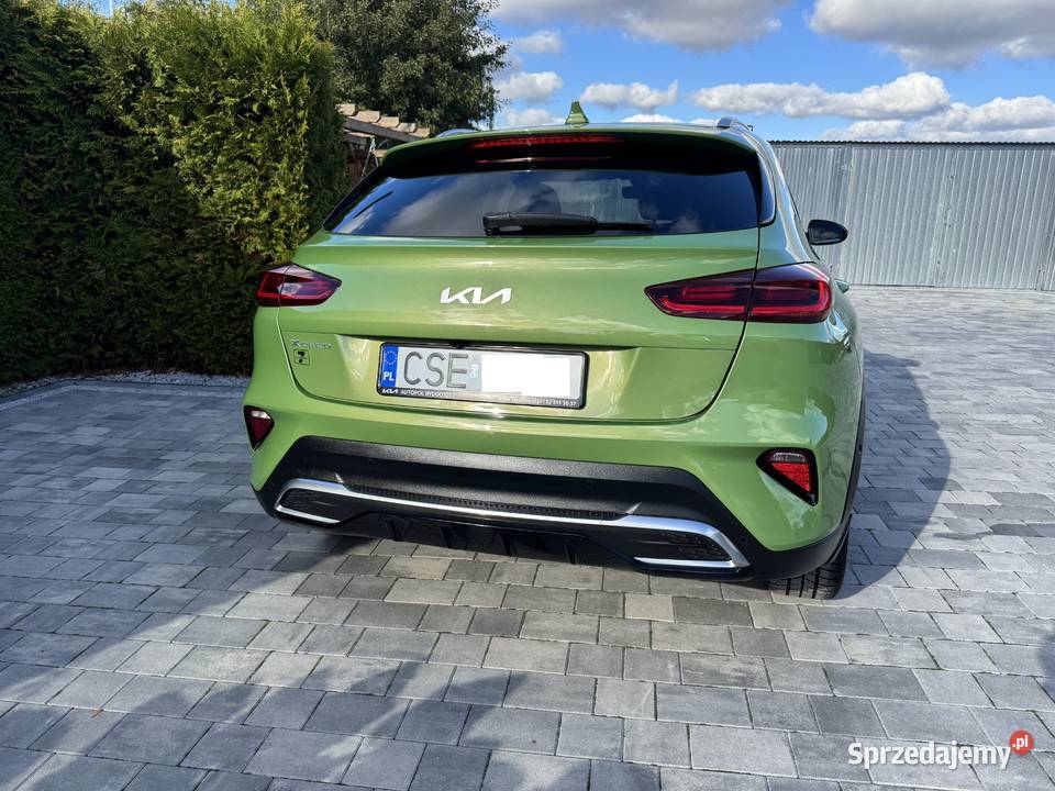 Kia XCeed 15 TGDI Business Line manualna Sępólno Krajeńskie