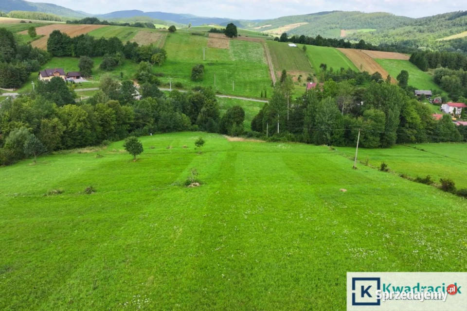 Grunt Hołuczków 11100m2