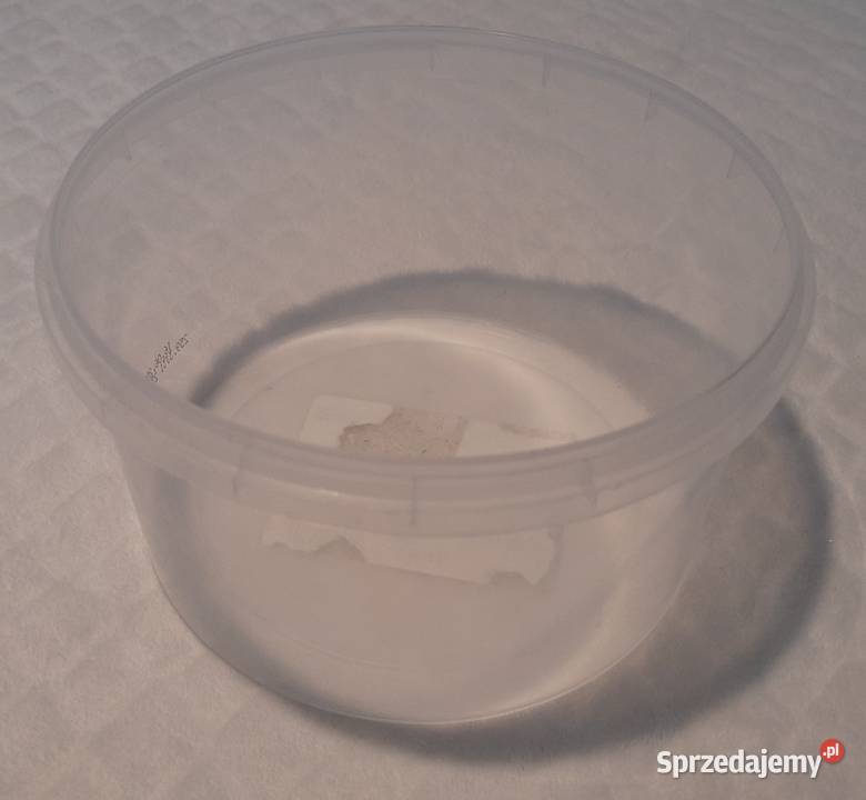 Pojemnik plastikowy 165x10 Kreatywne śląskie