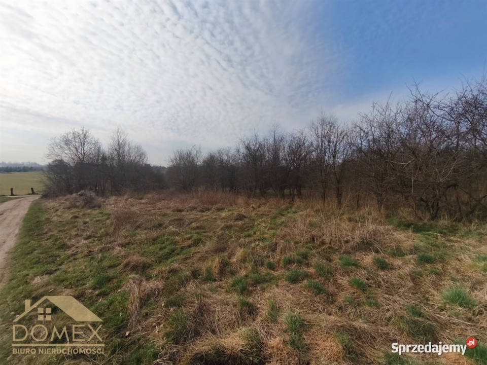 sprzedaży działki Czernica 7500m2