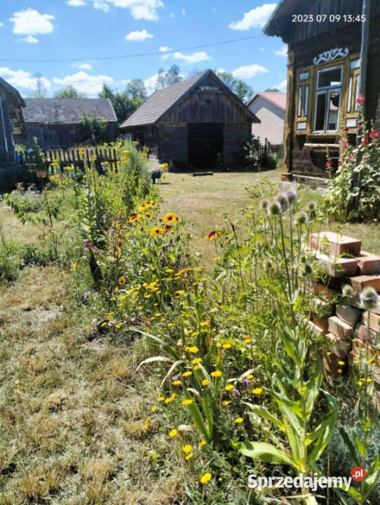 Perełka Podlasia m Czarna Cerkiewna