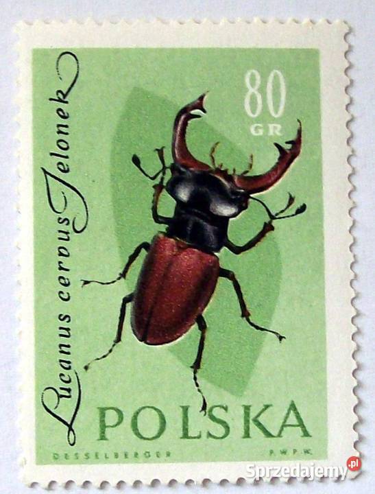 Polska1132113311341135113611371138113911401141114 Leźnica Wielka