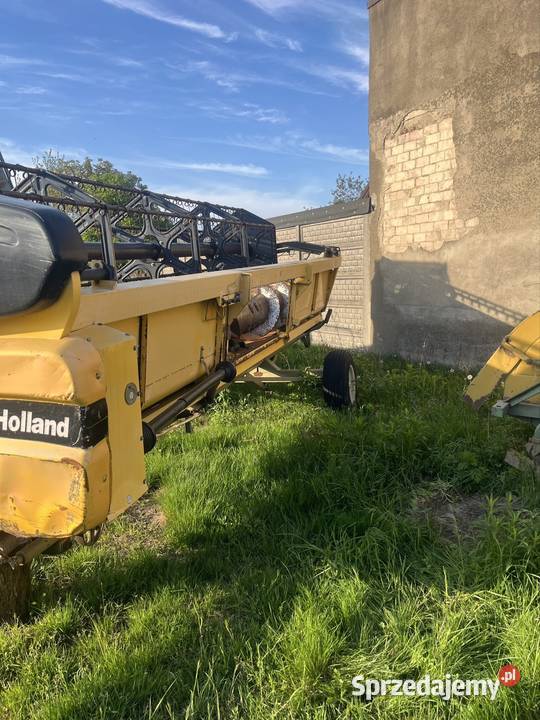 Heder Holland 2002 Zbożowe Kurowice