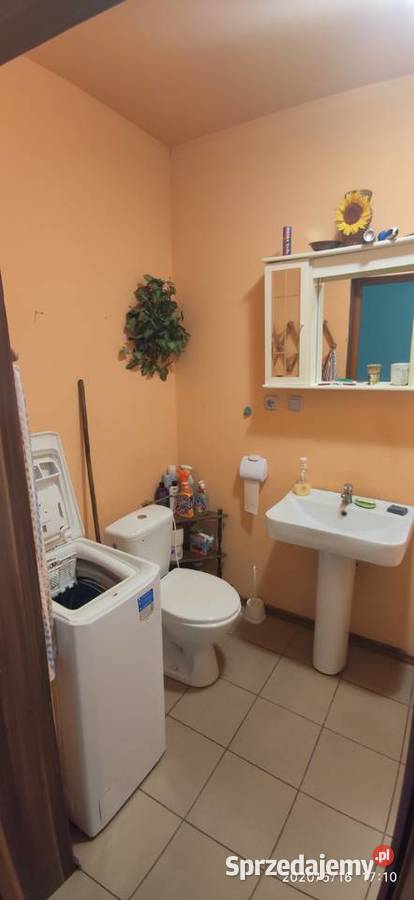 Piękny dom na dużej działce w Wiosce Syców strych dolnośląskie Wioska