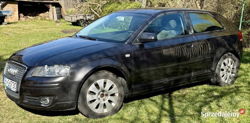 Audi A3 16 FSI 2006 Białogard