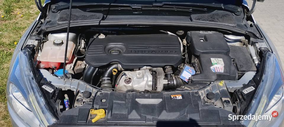 Ford Focus Ford Focus 15 TDCi 120 2017 kujawsko-pomorskie Wąbrzeźno