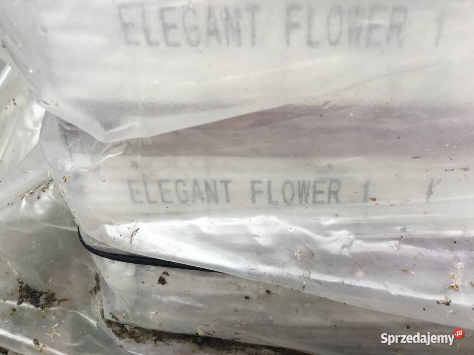 Gres płytka podłogowa elegant flower 1 45x45 Płytki ścienne Reguły