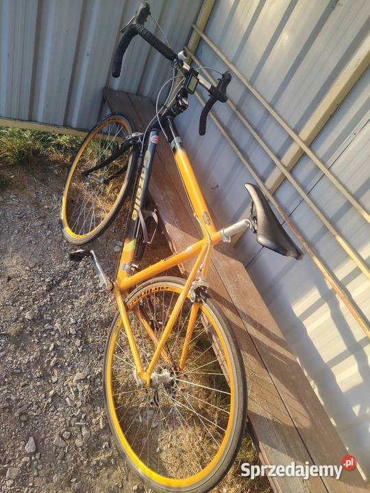 Rower szosowy Gazelle Primavera 58 Shimano Sora Brzozów