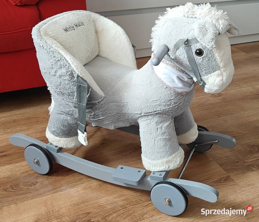 Konik na biegunach 9m+