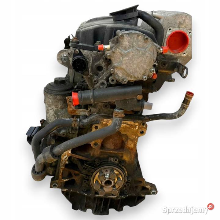 SILNIK BDJ VW Caddy III 20 SDI 70 diesel sprawny Chełm sprzedam