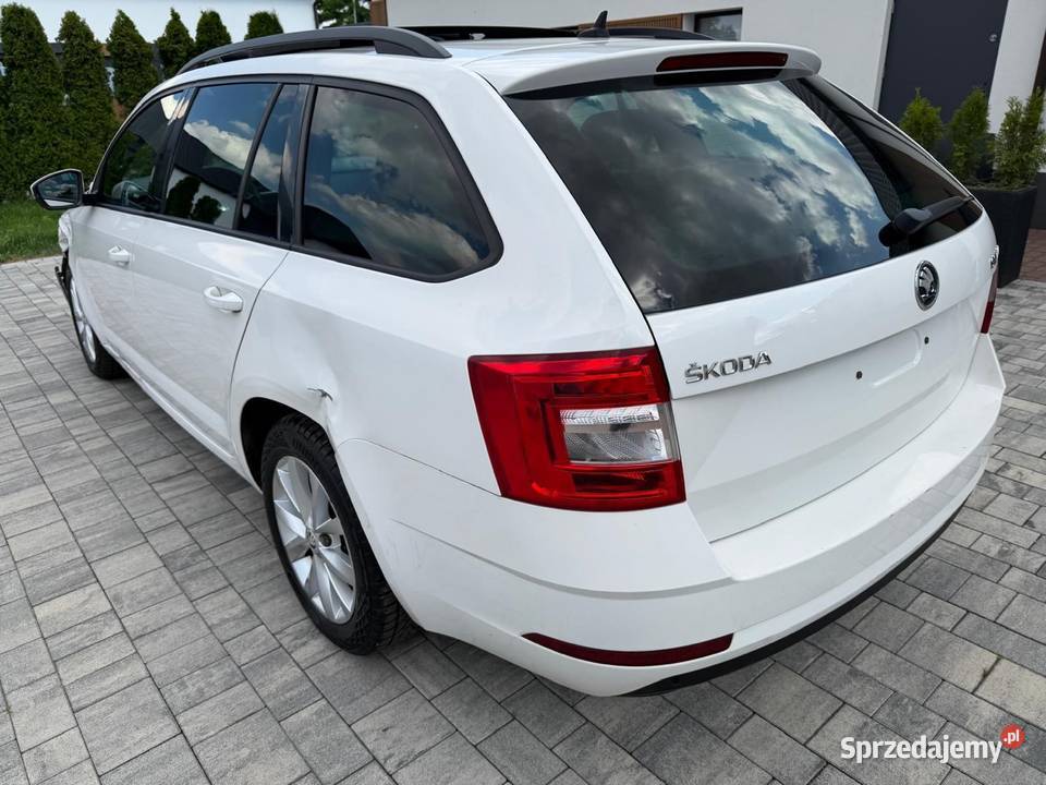 Dsg Tanio 2000cm3 Turek