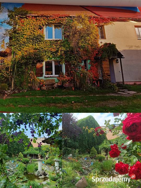 Sprzedam dom do zamieszkania Jarosław sprzedam