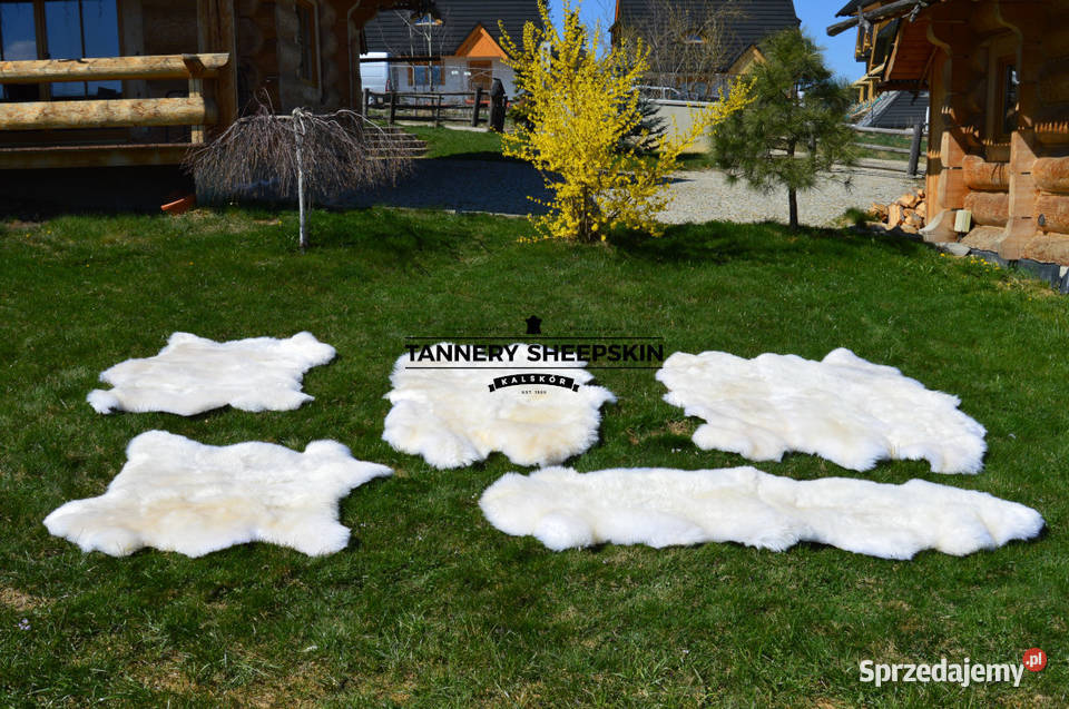 Skóry Owcze Zszywane Dywany Dywaniki Naturalna Dywany i wykładziny Szaflary sprzedam