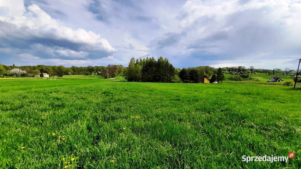 Działka rolna w Iłownica rolna Sprzedaż