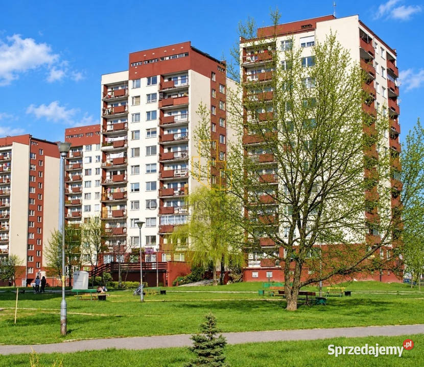 3 pokoje 619 m balkon winda Kozanów Wrocław