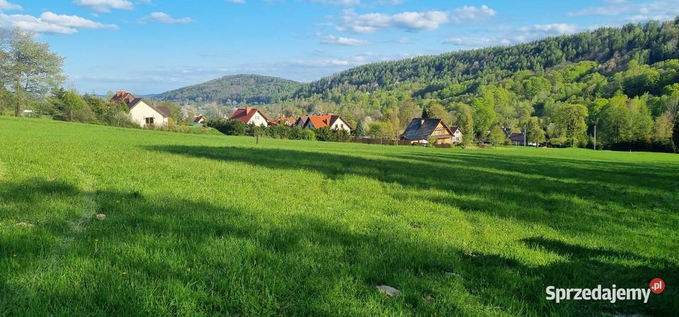 Atrakcyja działka w bieszczadach 3800m2 sprzedam