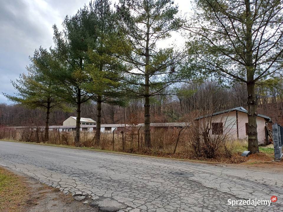 Nieruchomość komercyjna położona w zasięgu DK 28 Hołuczków sprzedam