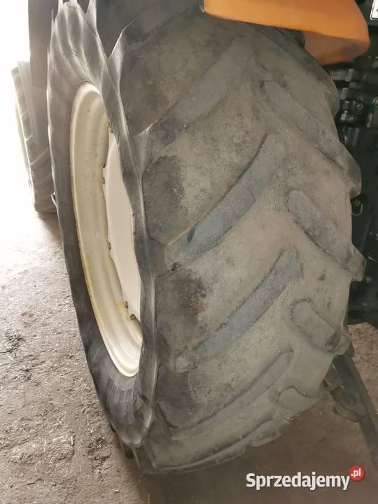 Claas Renaut Celtis 456 Dmosin sprzedam