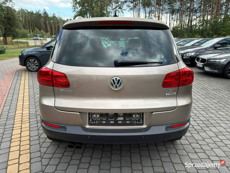 Volkswagen Tiguan 14 TSI 150 na pasku rozrządu 2 relingi dachowe mazowieckie Lipówki sprzedam