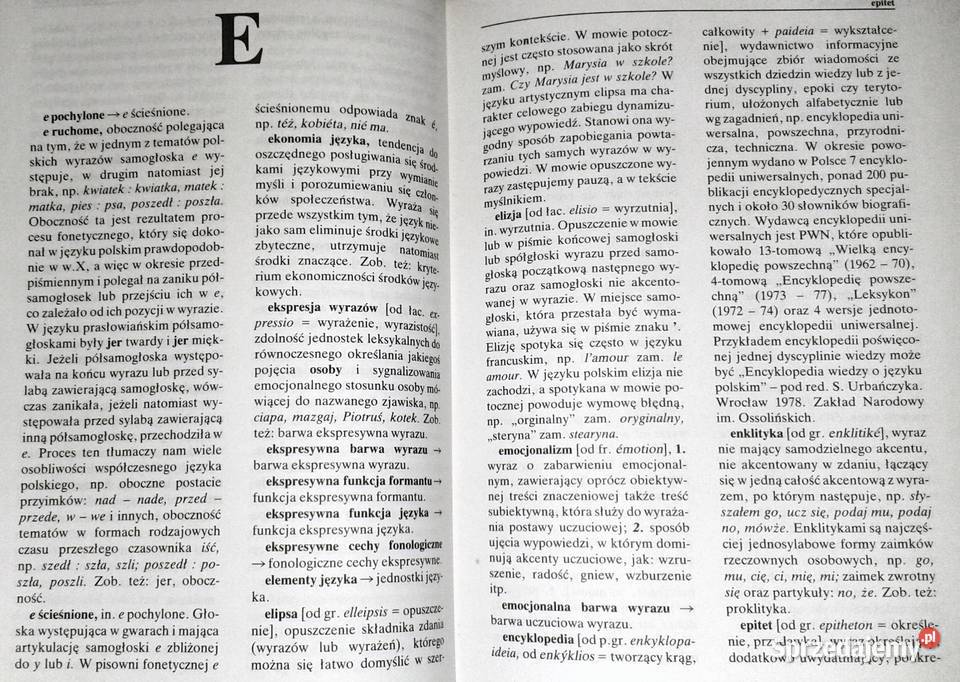 Szkolny słownik terminów o języku Jan Malczewski Chełm