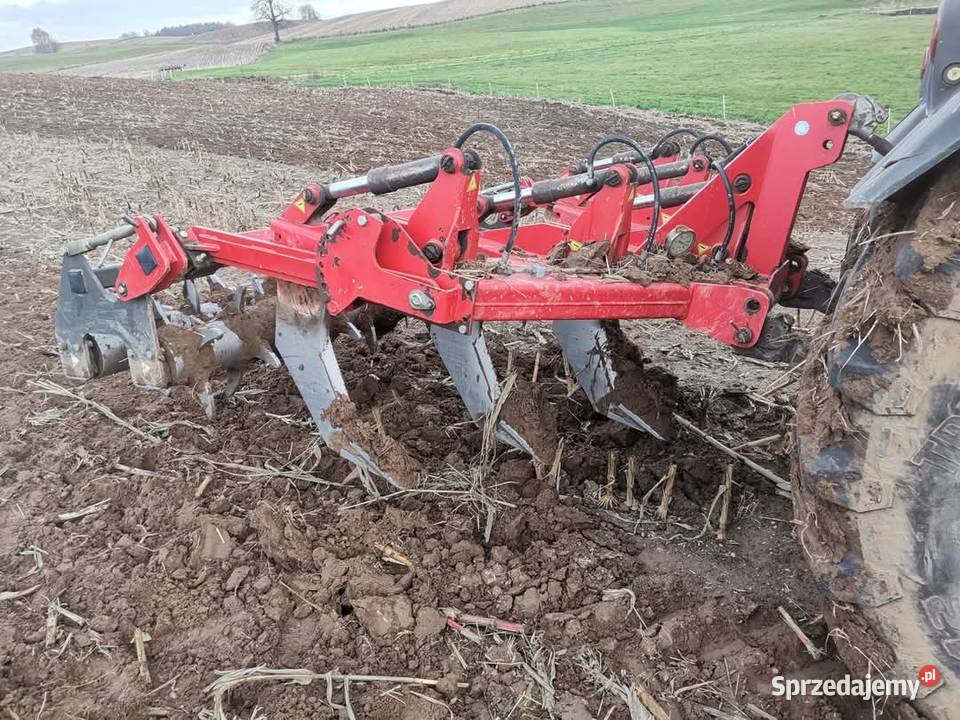 Głębosz Jympa 5 zębów nieuszkodzony sprzedam