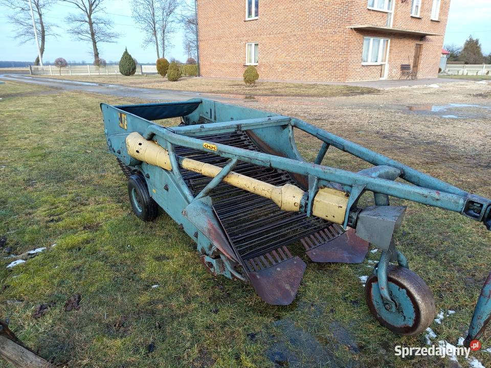 Kopaczka elewatorowa do ziemniaków chrzan cebula Szynkielów