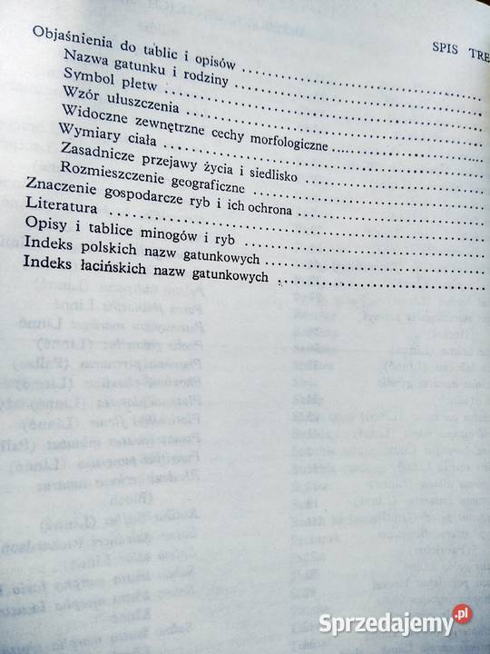 Ryby wód polskich atlas Rudnicki książki używane