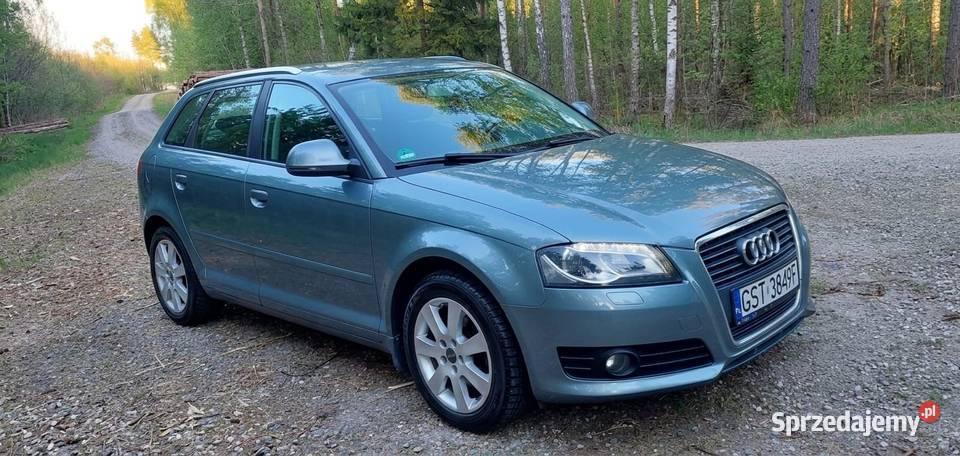 Audi a3 8p 2009r 20 tdi common rail 131 manualna pomorskie