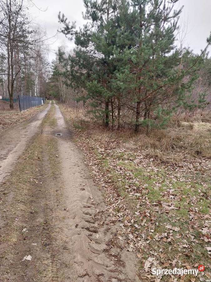 Działka na sprzedaż bez pośredników Modzele-Bartłomieje