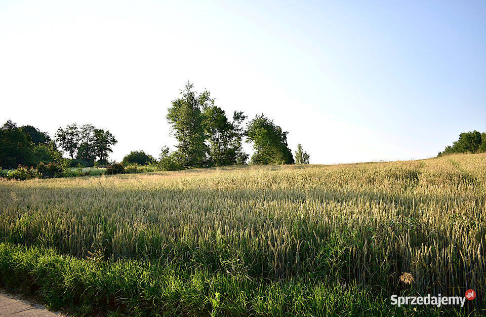 Działka w Grabówkach Sprzedaż lubelskie Grabówki