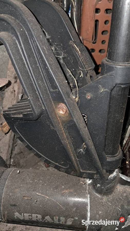 Silnik elektryczny zaburtowy Neraus 55 Katowice