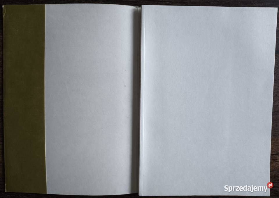 Tajemnice ksiąg rękopiśmiennych Bogdan Horodyski mazowieckie Warszawa sprzedam