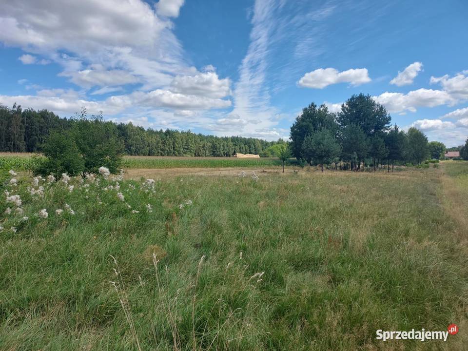 Sprzedam działki budowlane w Zduńskiej Woli Zduńska Wola