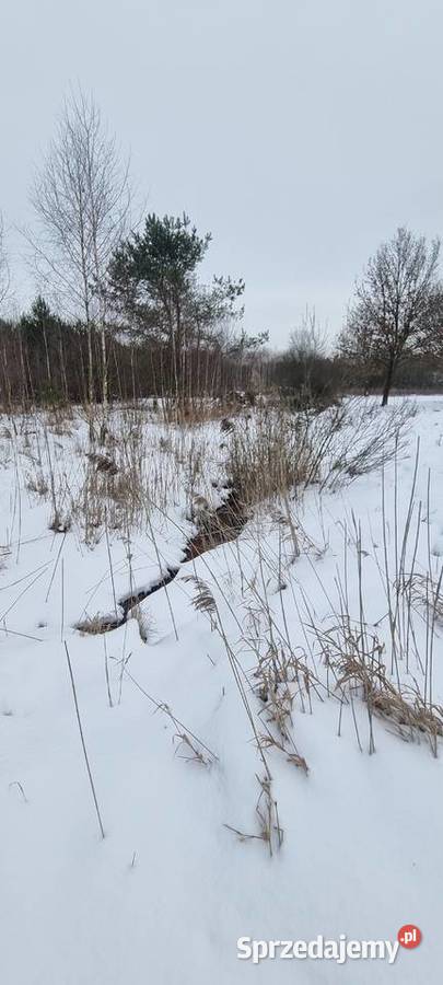 Syndyk sprzeda udział 13 w nieruchomości Wołomin