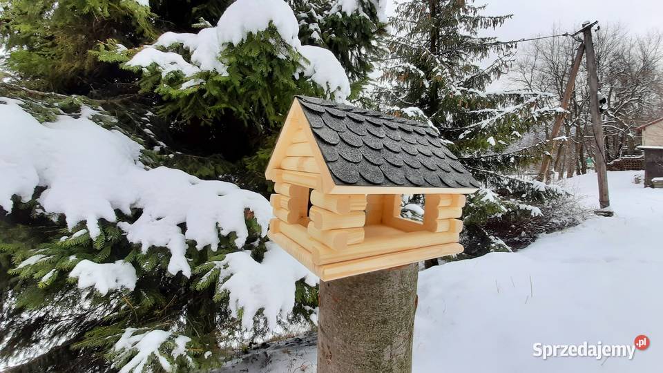 Karmnik ptaków Szczyrk