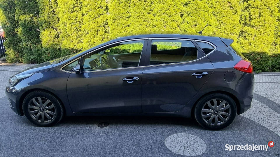 Kia Ceed Led Super stan Prosty Silnik GWARANCJA Płońsk sprzedam