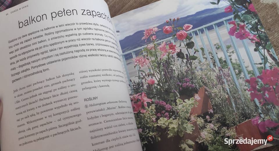 Ogród w oknie na wyciągnięcie ręki Rok wydania 2003 Książki i Podręczniki pomorskie Gdańsk