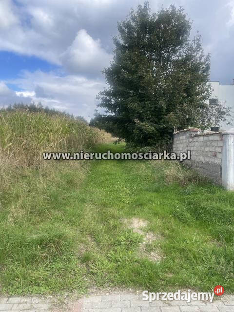 Działka 9230m2 Syrynia 15m