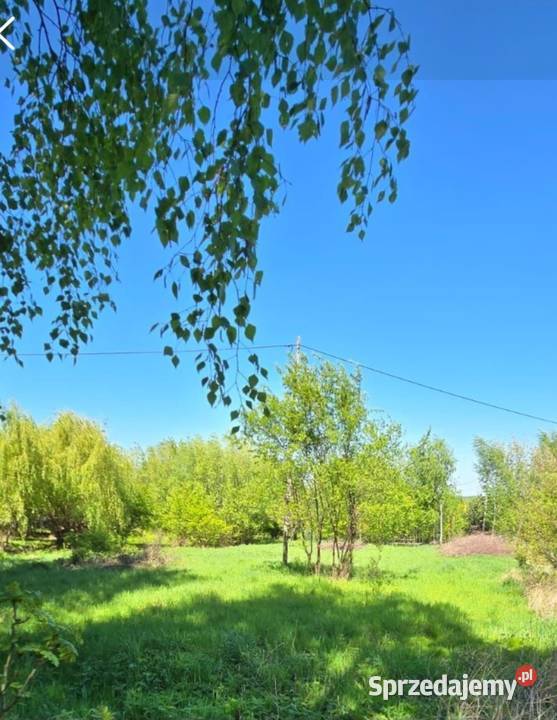 Działka Czaniec budowlana