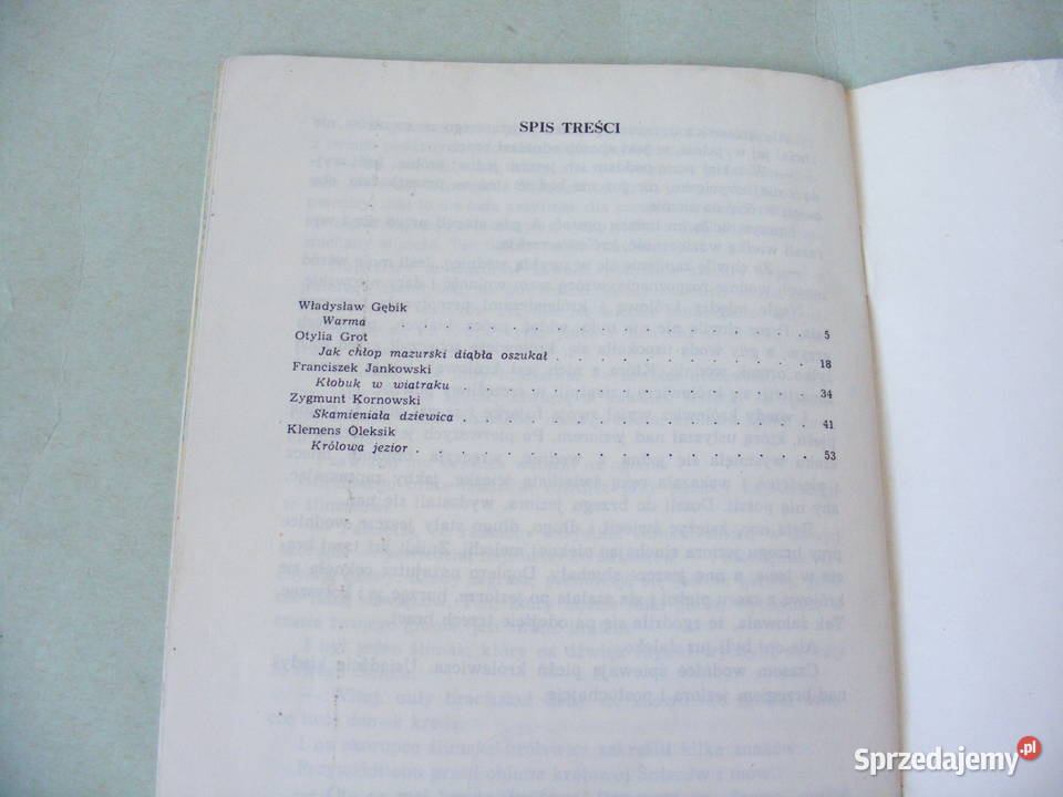 O zaginionych żeglarzach Wesołe ptaki Ziarenka Książki dla dzieci Książki dla dzieci sprzedam