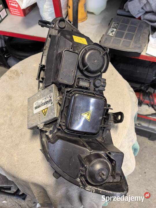Lampy Xenony zafira a kujawsko-pomorskie Grudziądz