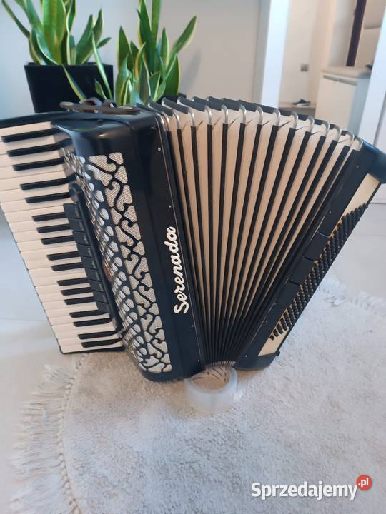 Akordeon serenada 120 basów Dębica