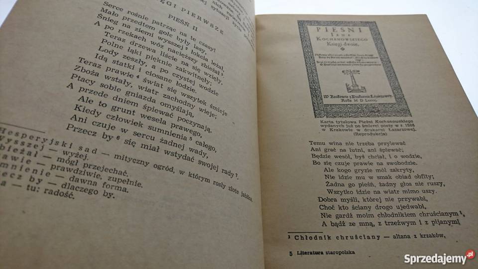 EUSTACHIEWICZ LITERATURA STAROPOLSKA technikum O język polski Goleniów