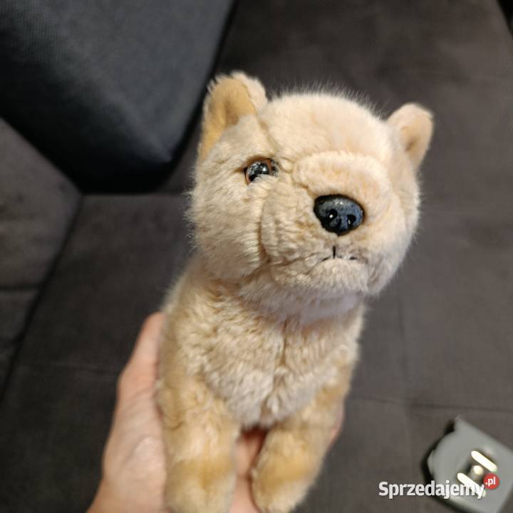 Pluszak piesek następny maskotka Poznań sprzedam