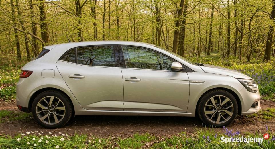 Renault Megane IV 16 DCI 130 ABS wielkopolskie Słodków-Kolonia