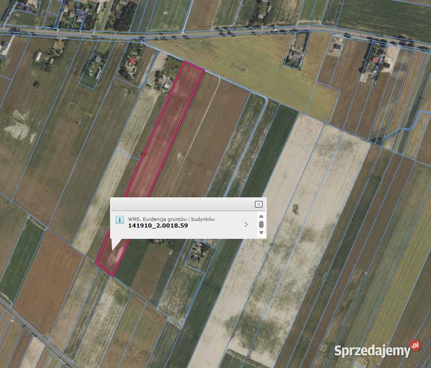 33 ha Radzanowo k Płocka Teren inwestycyjny 33000m2 mazowieckie