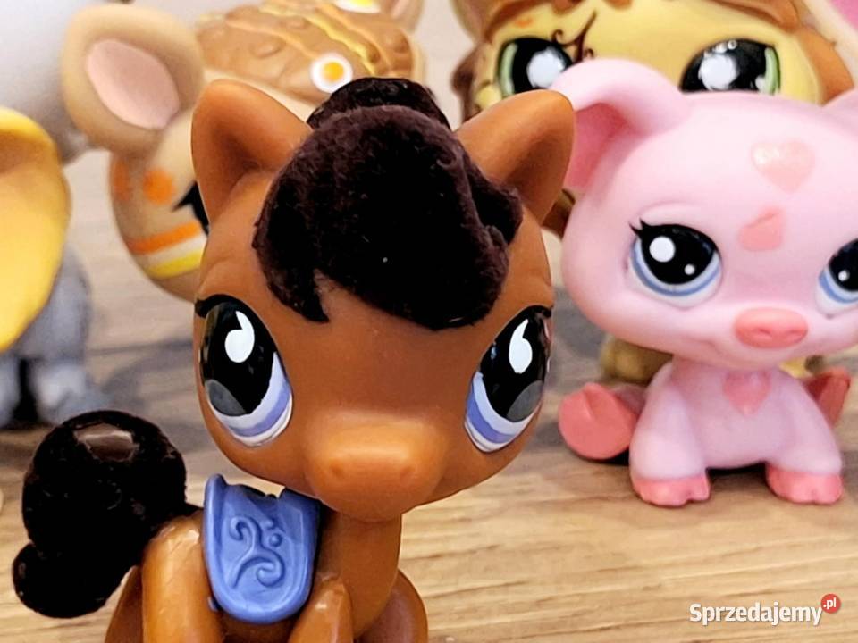Koń zamszowany Littlest Pet Shop warmińsko-mazurskie Braniewo
